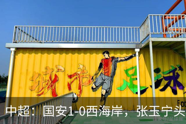 中超：国安1-0西海岸，张玉宁头槌，法比奥伤退