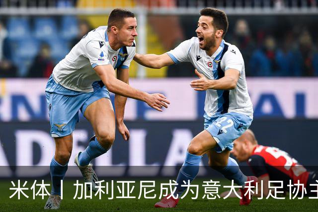 米体丨加利亚尼成为意大利足协主席热门人选