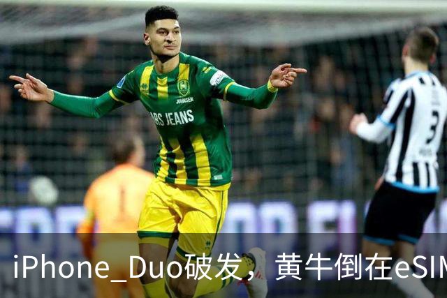 iPhone Duo破发，黄牛倒在eSIM